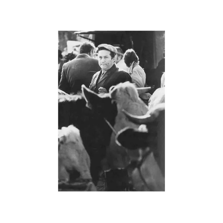 Рассказывать по-другому: вероятная теория фотографии. Джон Берджер, Жан Мор