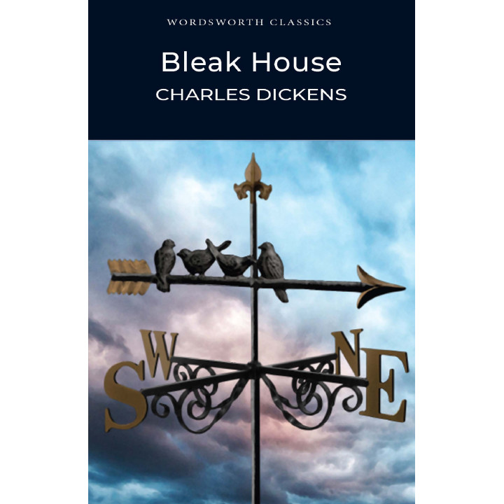 Bleak House (Холодный дом на английском). Charles Dickens