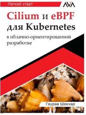 Cilium та eBPF для Kubernetes у хмарно-орієнтованій розробці. Гаурав Шекхар Cilium та eBPF для Kubernetes у хмарно-орієнтованій розробці. Гаурав Шекхар