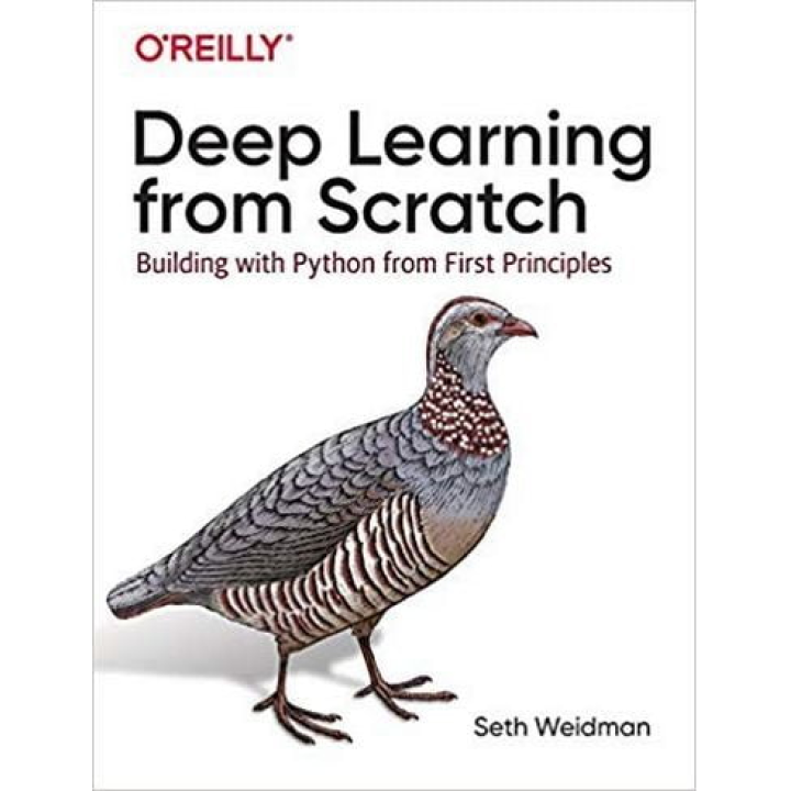 Deep Learning from Scratch: Building with Python from First Principles. Seth Weidman 
