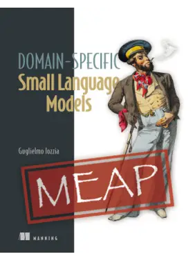 Domain-Specific Small Language Models. Guglielmo Iozzia.