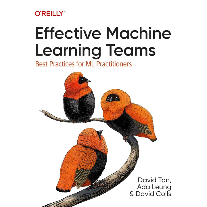 Effective Machine Learning Teams: Best Practices for ML Practitioners. David Tan, Ada Leung, David Colls