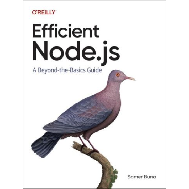 Efficient Node.js: A Beyond-the-Basics Guide. 1st Edition. Samer Buna