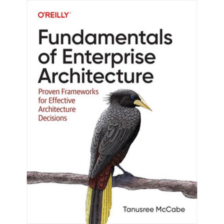 Fundamentals of Enterprise Architecture. Tanu McCabe