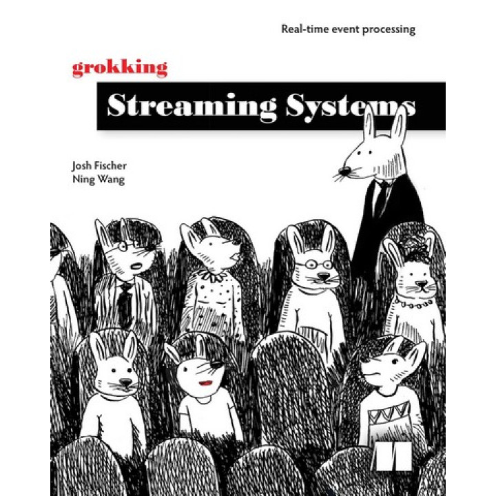 Grokking Streaming Systems. Josh Fischer, Ning Wang