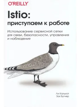 Istio: приступаємо до роботи. Лі Калькот, Зак Бутчер Istio: приступаємо до роботи. Лі Калькот, Зак Бутчер