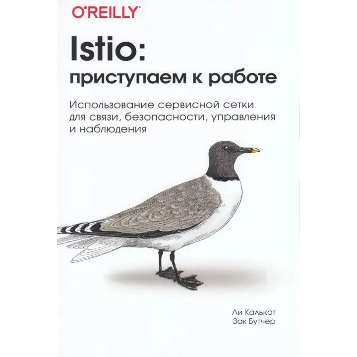 Istio: приступаємо до роботи. Лі Калькот, Зак Бутчер