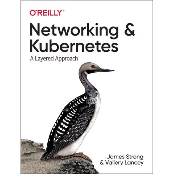 Networking and Kubernetes: A Layered Approach. 1st Ed. James Strong, Vallery Lancey
