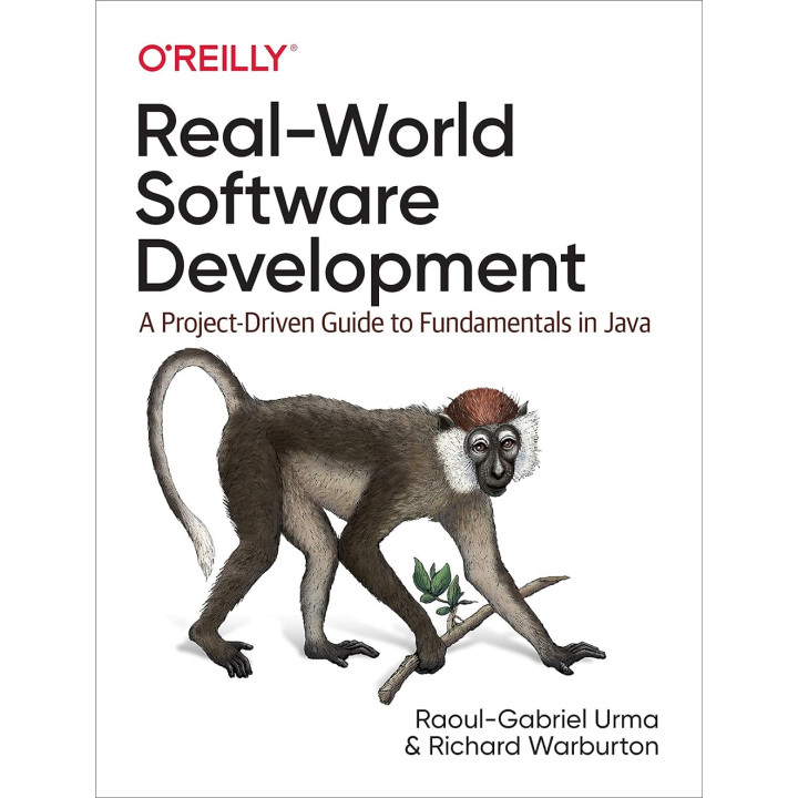 Real-World Software Development. 1st Ed. Richard Warburton, Raoul-Gabriel Urma