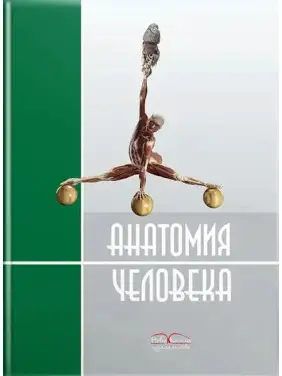 Анатомия человека. 2-е издание. Черкасов В.Г., Кравчук С.Ю. Анатомия человека. 2-е издание. Черкасов В.Г., Кравчук С.Ю.