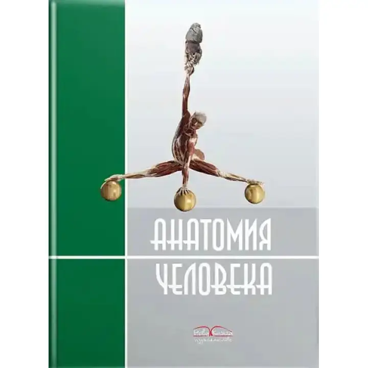Анатомия человека. 2-е издание. Черкасов В.Г., Кравчук С.Ю.