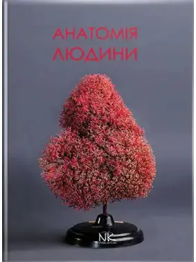 Анатомія людини: підручник для студ. фарм. ф-ту Анатомія людини: підручник для студ. фарм. ф-ту