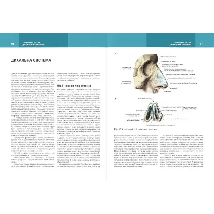 Анатомія людини. Том 2. 7-ме видання. Головацький А. С. та ін.