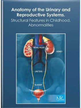 Anatomy of the Urinary and Reproductive Systems.Structural Features in Childhood. Abnormalities. Свинцицкая Н. Л. и др. Anatomy of the Urinary and Reproductive Systems.Structural Features in Childhood. Abnormalities. Свинцицкая Н. Л. и др.