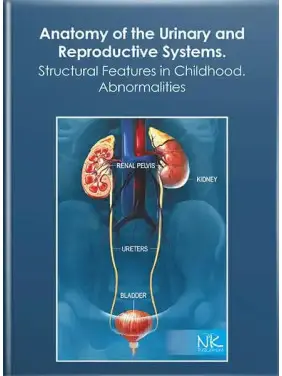 Anatomy of the Urinary and Reproductive Systems.Structural Features in Childhood. Abnormalities. Свінцицька Н. Л. та ін. Anatomy of the Urinary and Reproductive Systems.Structural Features in Childhood. Abnormalities. Свінцицька Н. Л. та ін.