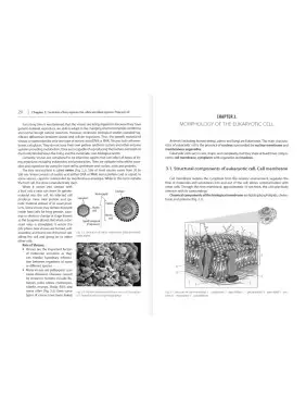 Medical Biology/Медицинская биология. 2-е изд. выпр. и доп. Бажора Ю.И. и т.д.