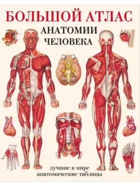 Великий атлас анатомії людини. Найкращі у світі анатомічні таблиці Великий атлас анатомії людини. Найкращі у світі анатомічні таблиці