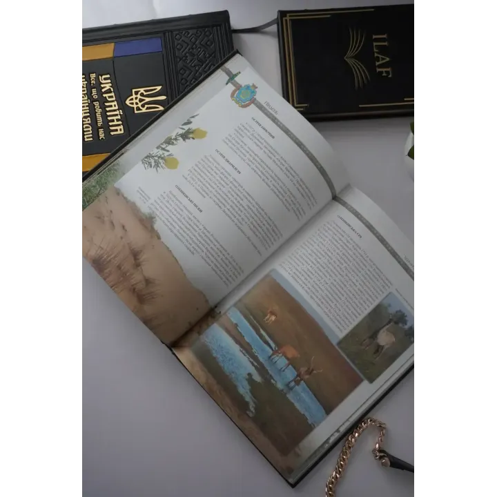 Удивительная Украина. Подарочная книга в кожаном переплете